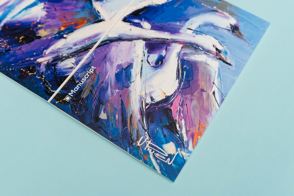 9_Piven 2014.Interior